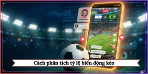 cách phân tích tỷ lệ biến động kèo