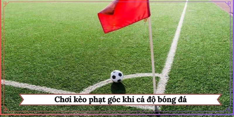 Chơi kèo phạt góc khi cá độ bóng đá