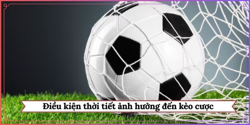 Điều kiện thời tiết ảnh hưởng đến kèo cược