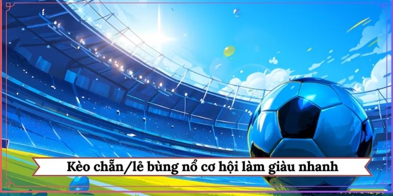 Cược chẵn hoặc lẻ là lựa chọn đầu tư số 1