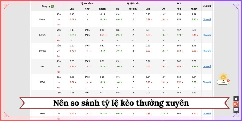 Nên so sánh tỷ lệ kèo thường xuyên