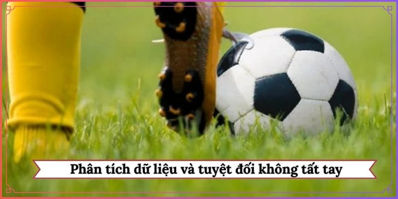 Phân tích dữ liệu và tuyệt đối không tất tay