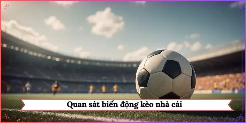 Quan sát biến động kèo nhà cái
