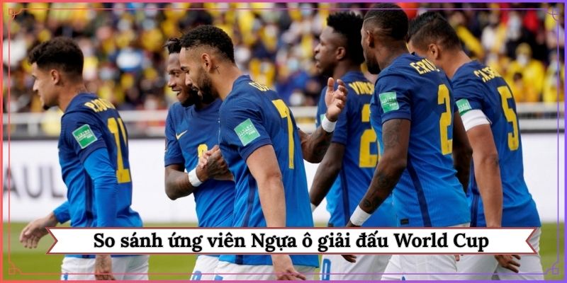 So sánh ứng viên Ngựa ô của giải đấu World Cup 2026 là ai