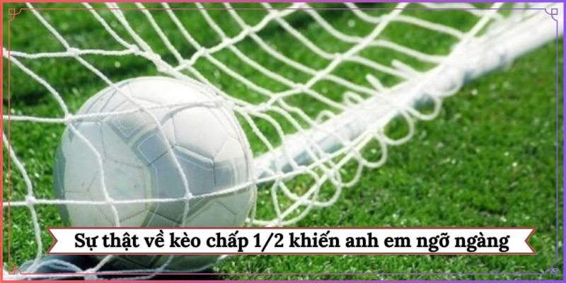 Sự thật về kèo chấp 1/2 khiến anh em ngỡ ngàng
