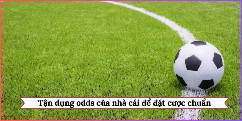 Tận dụng odds của nhà cái để đặt cược chuẩn