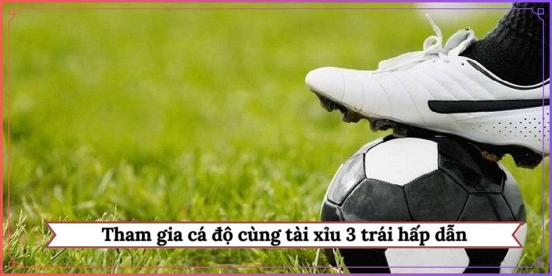 Tham gia cá độ cùng tài xỉu 3 trái hấp dẫn