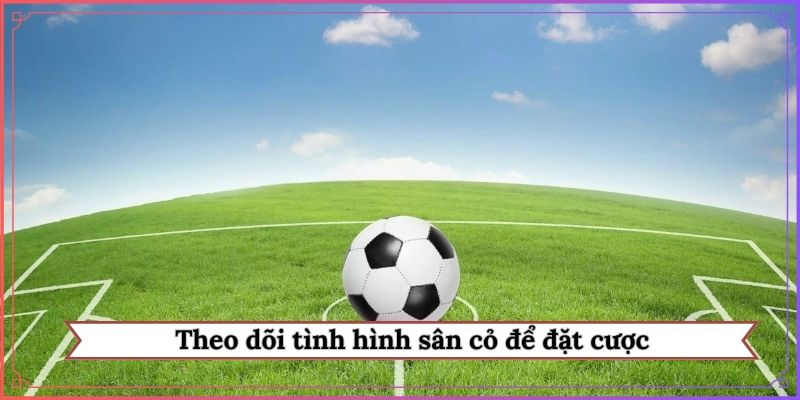 Theo dõi tình hình sân cỏ để đặt cược