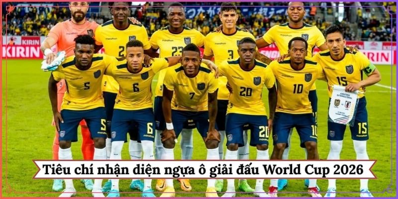 Tiêu chí nhận diện ngựa ô của giải đấu World Cup 2026 là ai