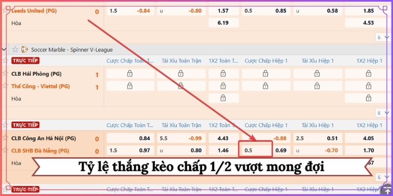Tỷ lệ thắng kèo chấp 1/2 vượt mong đợi