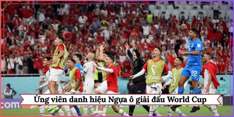 Ứng viên của danh hiệu Ngựa ô của giải đấu World Cup 2026 là ai